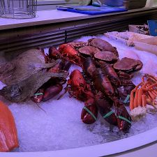 The Seafood Bar