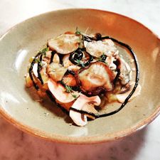 SAAR café - resto