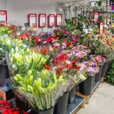 DekaMarkt Apeldoorn