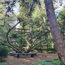 TU Delft Hortus Botanicus