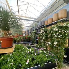 Tuincentrum Almeerplant