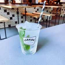 Lebkov & Sons Den Haag