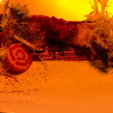 Hotel Restaurant Brass