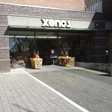 Xenos Klazienaveen