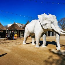 Safaripark Beekse Bergen