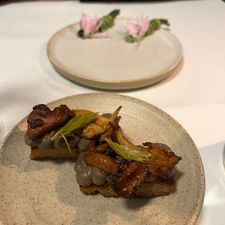 Foer Amsterdam