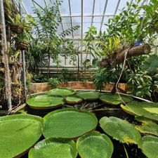 TU Delft Hortus Botanicus