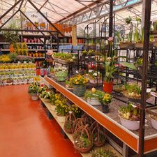 AVRI Bloem-en Tuincentrum