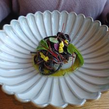 Restaurant Sistermans