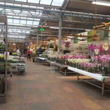 Tuincentrum Almeerplant