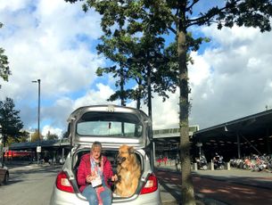 Stelling van Amsterdam