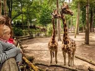 DierenPark Amersfoort