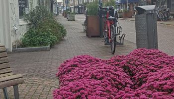 Golden Zaan Hotel Zaandam