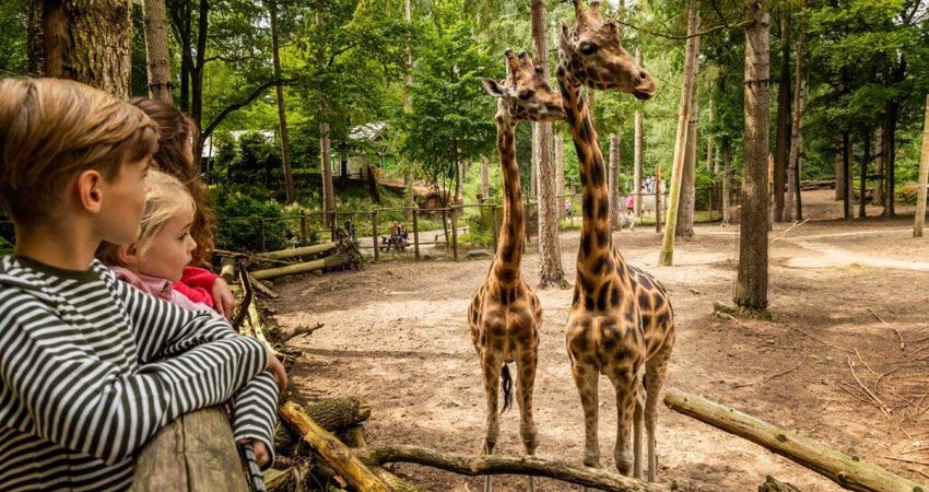 DierenPark Amersfoort