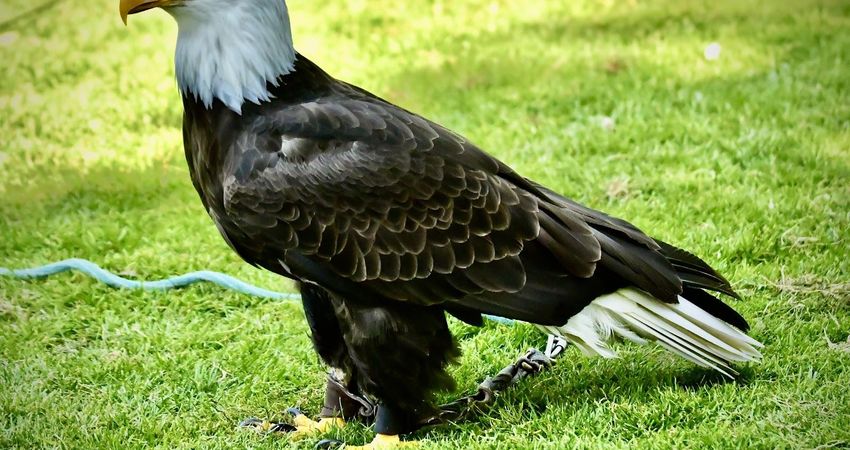 Dierenpark de Oliemeulen