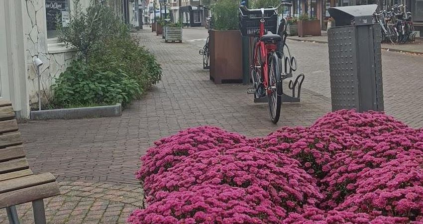 Golden Zaan Hotel