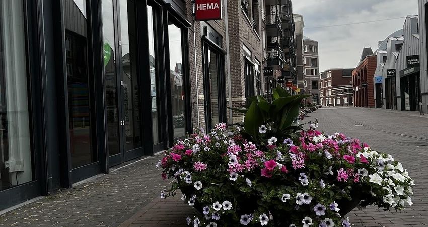 HEMA