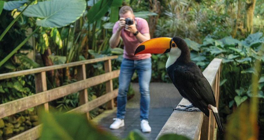 Pantropica (voorheen de Orchideeën Hoeve)