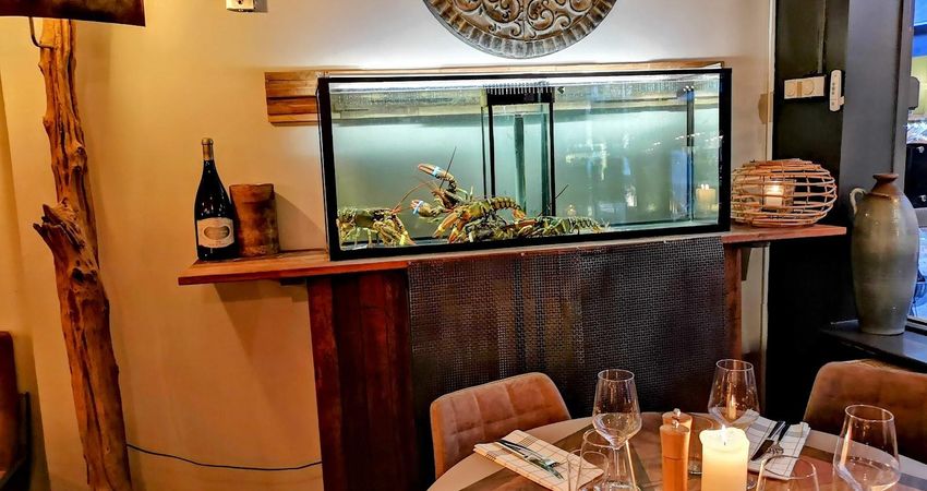 Restaurant Het Zuiden Fish & Wine - Steak & Beer